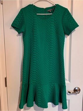 Sharagano Spring Green Textured Flounce Ruffle Hem Knee Length Dress Size 4